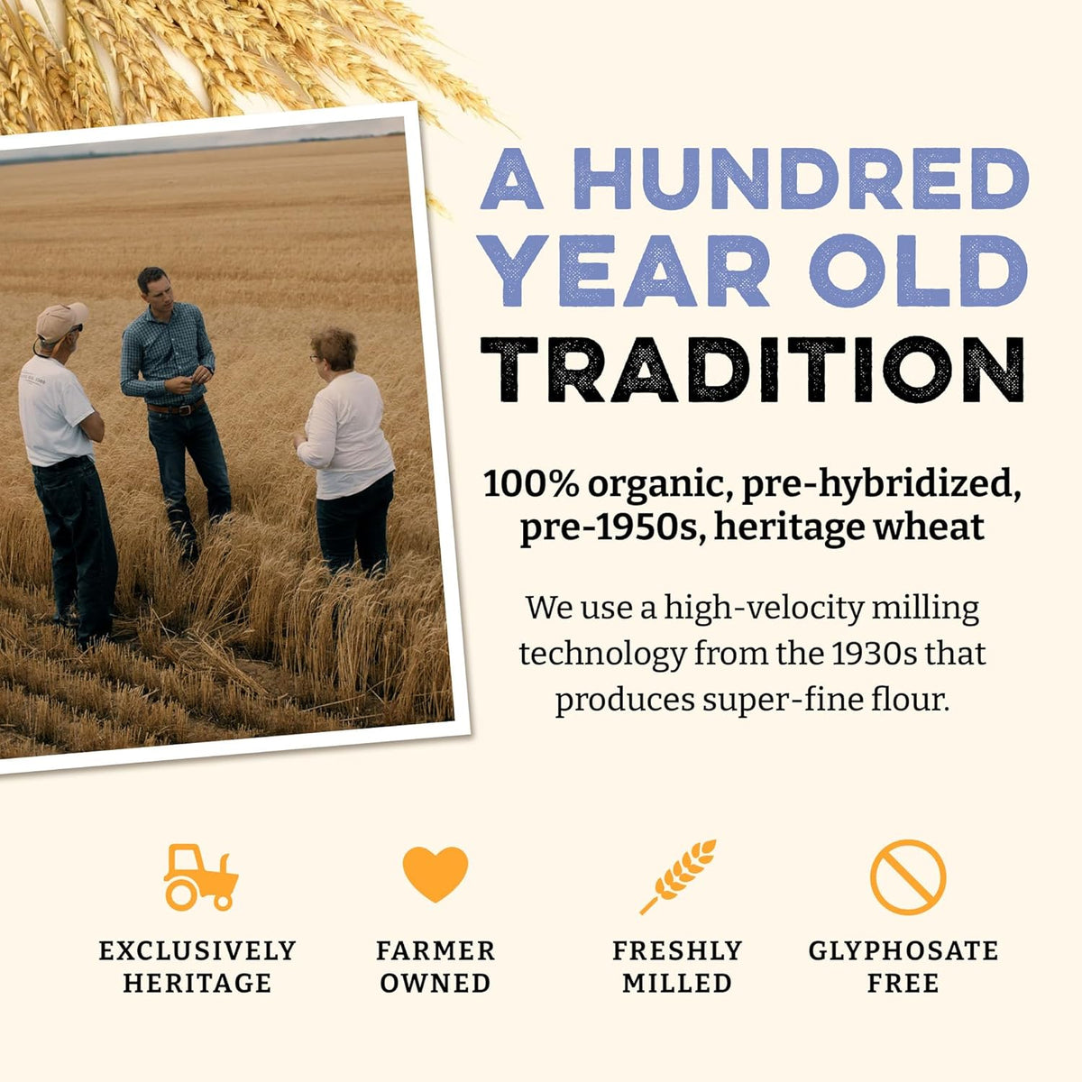 Sunrise Flour Mill USDA Organic Heritage Pasta Flour - 2 lbs | Milled from Hard Red Wheat | Easier to Digest with Less Bloating | No Bleaching or Bromating | Zero Additives