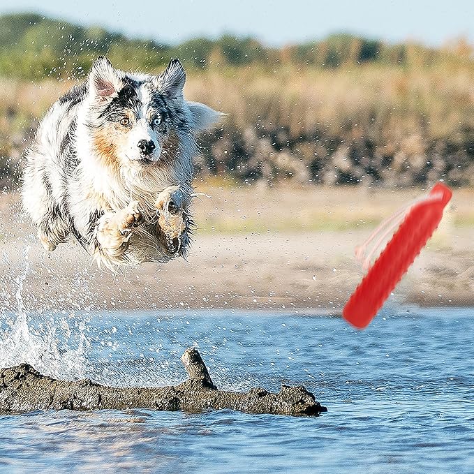 Dog Float Toy - Interactive Training Bumper & Fetching Retrieving Dog Water Toys Dummy Outdoor - Lightweight for Float on the Water Pool Fetch Pet Toys for Small, Medium, Large Dogs