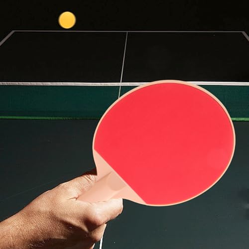 Outdoor Table Tennis Set Plastic Elastic Ping Pong Paddles Long Handle and 2 Yellow Balls for Recreational Outdoor Play