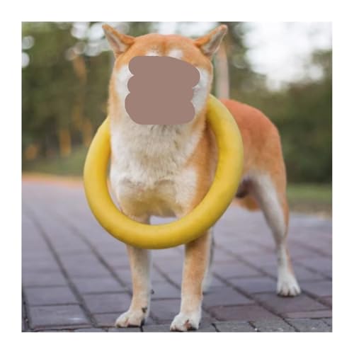 Durable Dog Ring Toy, Floating Flying for Training & Fetch(Orange) - color: Orange