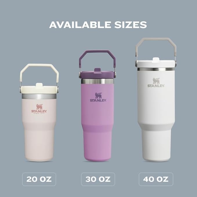 STANLEY IceFlow 2.0 Flip Straw Tumbler with Handle 30 oz | Twist On Lid and Flip Up Straw | Leak Resistant Water Bottle | Insulated Stainless Steel | BPA-Free | Twilight