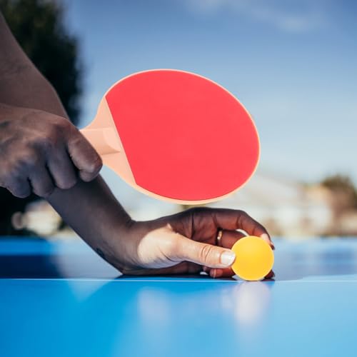 Outdoor Table Tennis Set Plastic Elastic Ping Pong Paddles Long Handle and 2 Yellow Balls for Recreational Outdoor Play