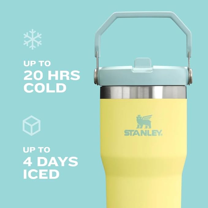 STANLEY IceFlow 2.0 Flip Straw Tumbler with Handle 20 oz | Twist On Lid and Flip Up Straw | Leak Resistant Water Bottle | Insulated Stainless Steel | BPA-Free | Twilight