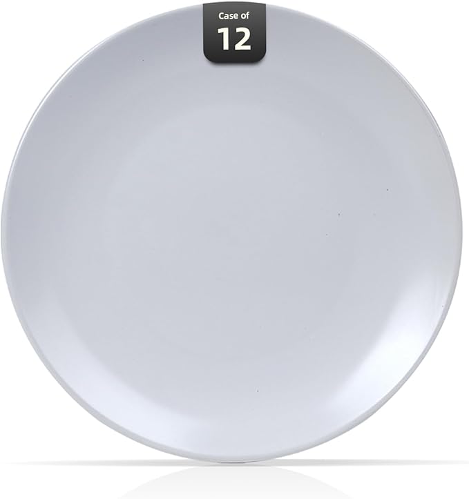 Stoneware Coupe Commercial Grade Dinnerware, Matte White, Plate 10.5", Case of 12
