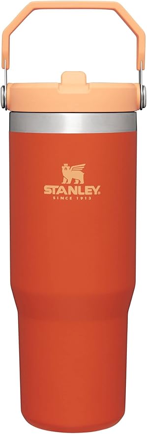 STANLEY IceFlow Flip Straw Tumbler with Handle 30 oz | Twist On Lid and Flip Up Straw | Leak Resistant Water Bottle | Insulated Stainless Steel |BPA-Free | Tigerlily
