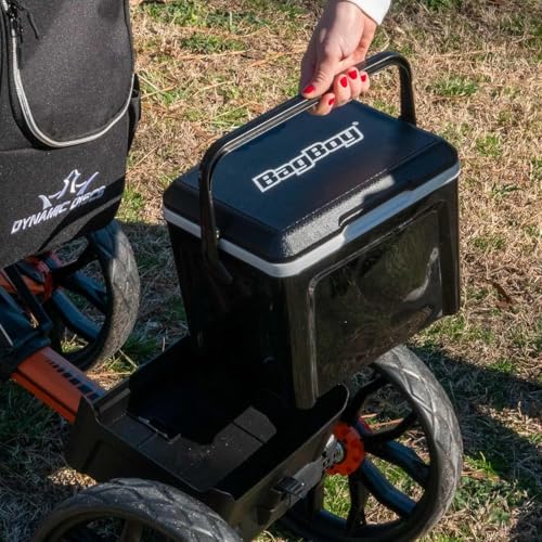 Bag Boy Quad Pro Disc Golf Cart - color: Blue Swirls