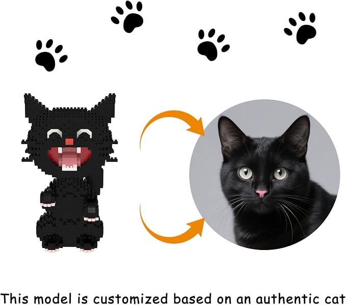 Larcele Micro Building Blocks Set, DIY Mini Building Toy Bricks for Age Over 12 Years, 1188 Pieces KLJM-05 (Black Cat 2)