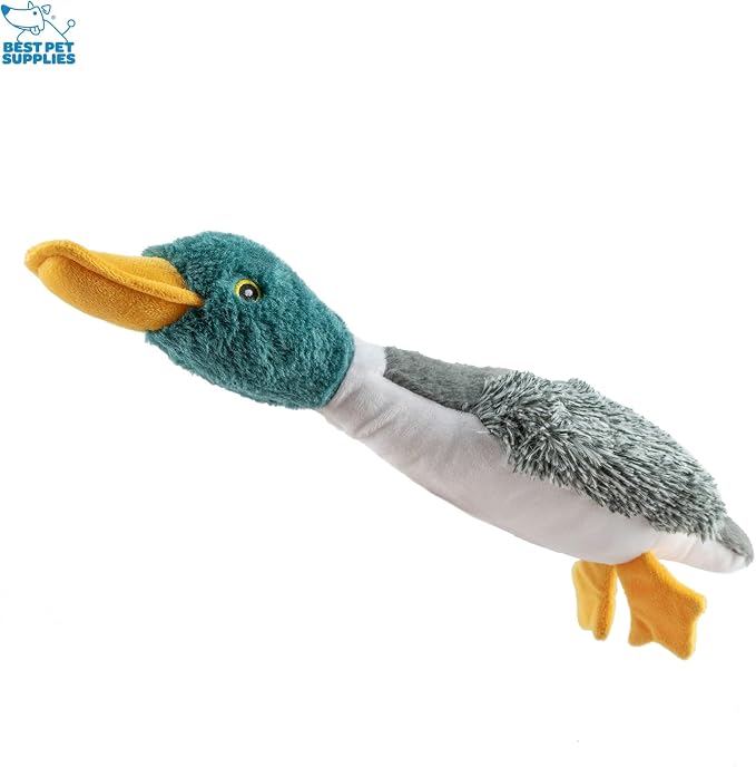 Best Pet Supplies Interactive Squeaky Dog Chew Toy, Ideal Dog Toys for Chewers, Small, Medium & Large Dogs, and Fetch Lovers - Mallard Duck (Gray, Gray, Brown), Small