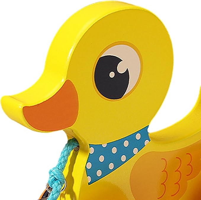 Pull Along Toy with String, Animal Push and Pull Along Toys, Duck