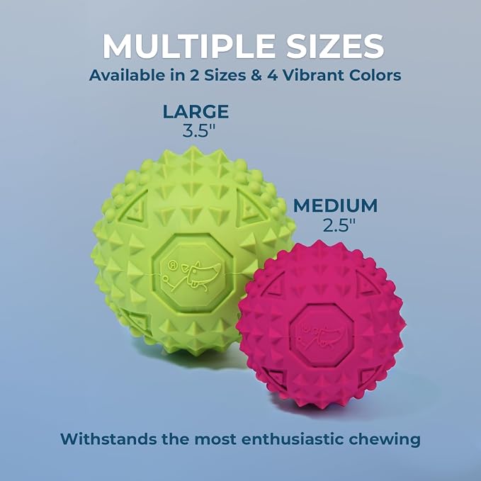 Best Pet Supplies Interactive Squeaky Dog Chew Toy, Ideal Dog Toys for Chewers, Small, Medium & Large Dogs, and Fetch Lovers - Fuchsia, Green, Blue, Orange, Medium 2.5"