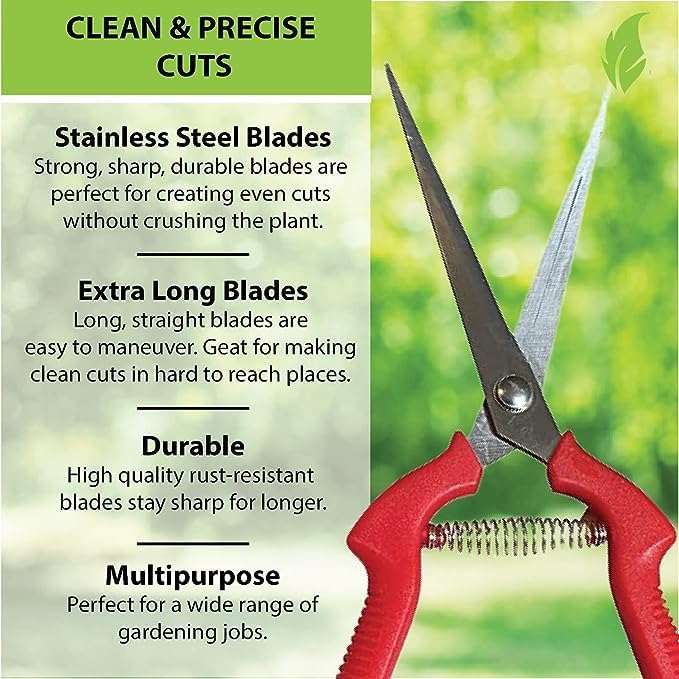 Garden Guru Extra Long Stainless Steel Pruner Pruning Shears Clippers Snips Sharp Bonsai Cutter Trimming Scissors Straight Blade Garden Scissors Tool Great for Roses Flowers Herbs Fruits (4 Pack)