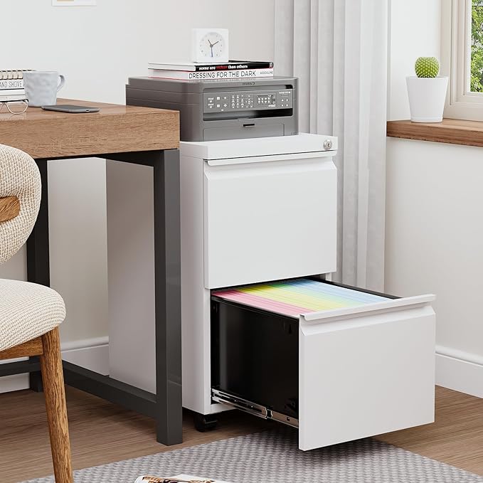 2 Drawers File Cabinet with Lock Metal Vertical File Cabient with Wheels Mobile File Cabinet for Office Home Legal/Letter/a4 Size Require Assembly (White, 2 Drawers)