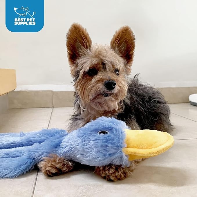 Best Pet Supplies Interactive Squeaky Dog Chew Toy, Ideal Dog Toys for Chewers, Small, Medium & Large Dogs, and Fetch Lovers - Crinkle Duck (Yellow, Blue, Pink), Large