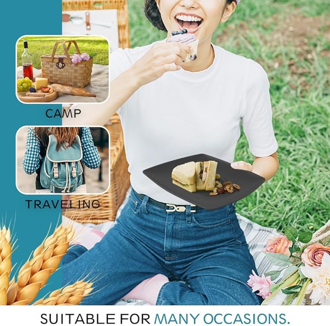 Teivio 48-piece Plastic Wheat Straw Square Dinnerware Set for 12, Unbreakable Dinner Plates, Salad Plates, Snack Bowls, Tumblers 13.5 oz, Dishwasher Safe,Outdoor Kitchen RV Dishes, Coastal Multicolor