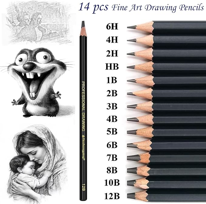 Heshengping Drawing Sketch Pencil Set 14pcs Sketching Pencils 12B 10B 8B 7B 6B 5B 4B 3B 2B B HB 2H 4H 6H Graphite Pencils for Kid Adults Artists Student Beginners Professional