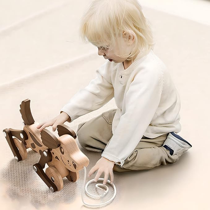 Montessori Toys 1 2 3 4 Years Old Boys Girls Wooden Walking Pull Dog Toy for Baby Toddler, Pull Along Walking Toys, Walk Along Puppy Pull, Wooden Pull & Push Toy