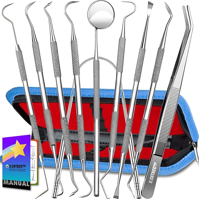 G.CATACC 10 Pack Dental Tools, Professional Plaque Remover for Teeth Cleaning Tools Set, Stainless Steel Hygiene Kit with Dental Pick Tooth Scraper Plaque Tartar Remover Tongue Cleaner - with Case