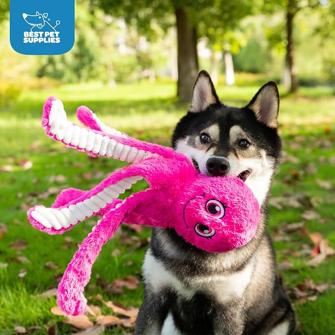 Best Pet Supplies Interactive Squeaky Dog Chew Toy, Ideal Dog Toys for Chewers, Small, Medium & Large Dogs, and Fetch Lovers - Octomutant (Fuchsia), Large