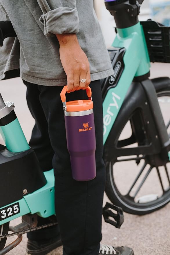STANLEY IceFlow 2.0 Flip Straw Tumbler with Handle 20 oz | Twist On Lid and Flip Up Straw | Leakproof Water Bottle | Insulated Stainless Steel | BPA-Free | Daffodil