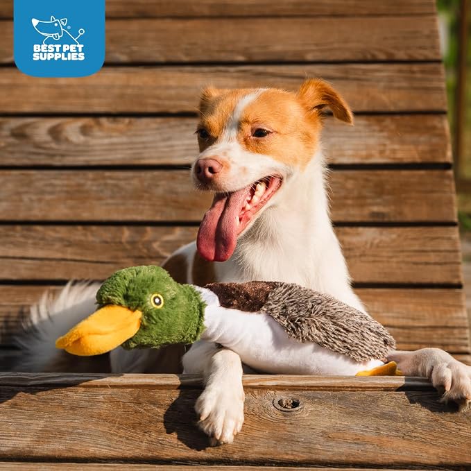 Best Pet Supplies Interactive Squeaky Dog Chew Toy, Ideal Dog Toys for Chewers, Small, Medium & Large Dogs, and Fetch Lovers - Mallard Duck (Gray, Gray, Brown), Small