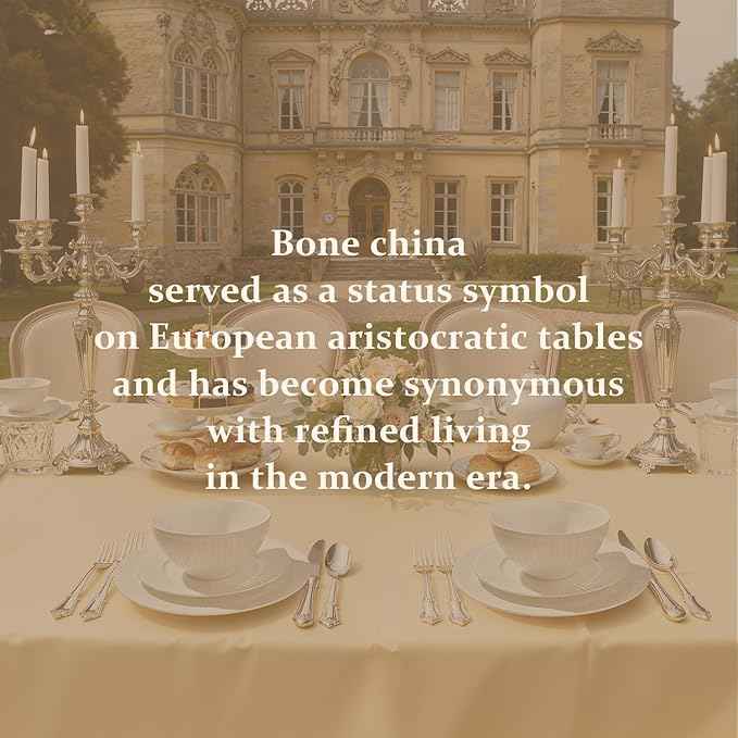 KINGSTONE Bone China Dinnerware Set, 18-Piece White Lightweight Porcelain with Textured Design Service for 6, Plates, Bowls, for Family Dining, Restaurants, Gifting，Microwave and Dishwasher Safe