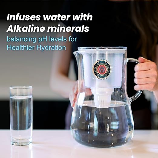 Borosilicate Glass Alkaline Water Pitcher of Life with Stainless Steel Fruit Infuser Glass Water Filter Pitcher with Lid Clearly Filtered Water Pitcher Increases pH NSF/ANSI 42 & 61 Certified Filters