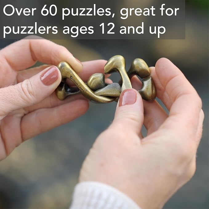 BePuzzled | Loop Hanayama Metal Brainteaser Puzzle Mensa Rated Level 1, for Ages 12 and Up