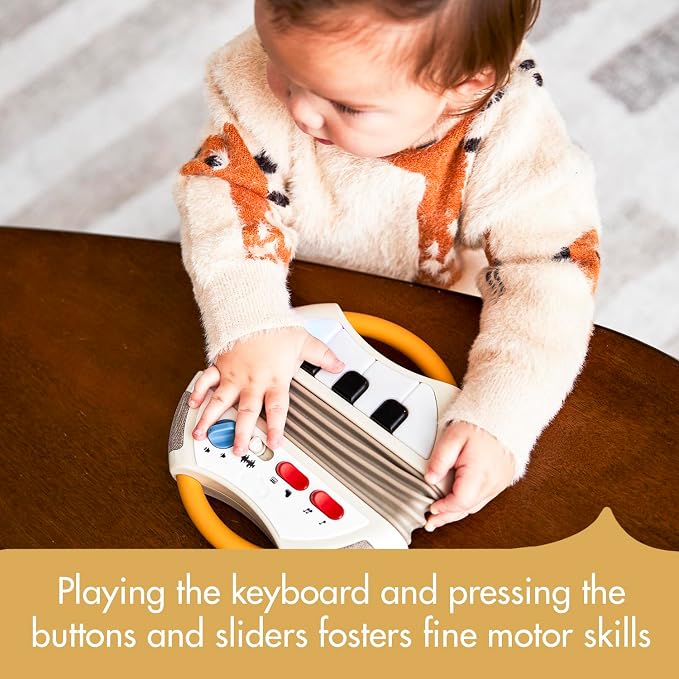 Tiny Love Tiny Rockers Accordion Baby Learning Toy