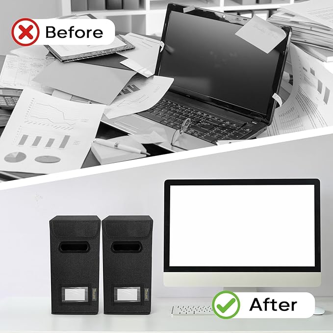 BALEINE File Organizer Box with Lid, Collapsible File Folder Organizer with Plastic Slide, Hanging File Folder Box for Office Document Storage (2 Pack, Black, S)