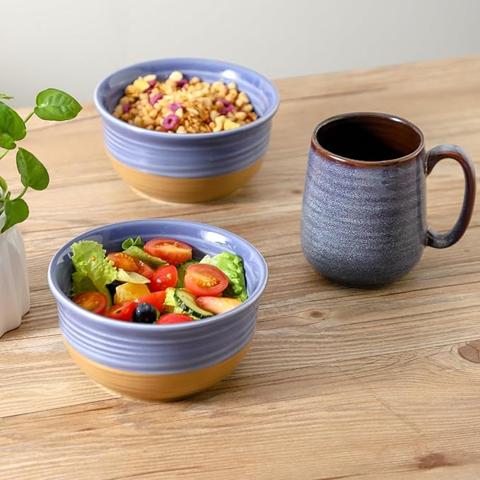 Hasense Porcelain Soup Bowls, 20 OZ Cereal Bowls Set of 6, Small Bowls for Kitchen, Great for Cereal, Snack, Rice, Soup, Ice Cream, Dessert, Dishwasher and Microwave Safe, Purple