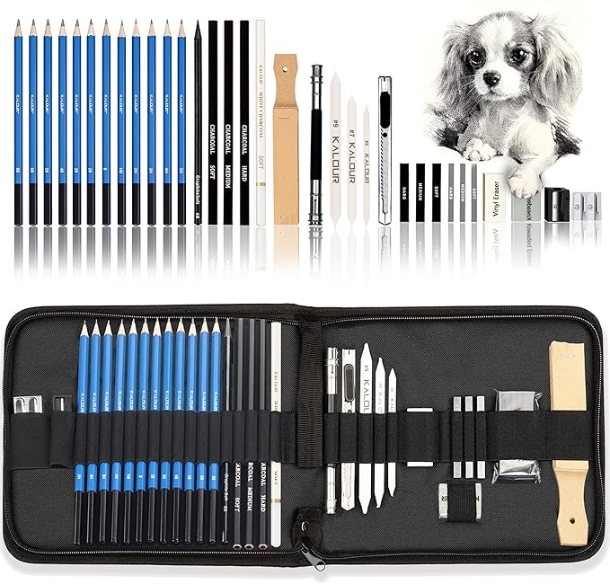 KALOUR 33 Pro Drawing Kit Sketching Pencils Set,Portable Zippered Travel Case-Charcoal Pencils, Sketch Pencils, Charcoal Stick,Sharpener,Eraser.Art Supplies for Artists Beginner Adults Teens