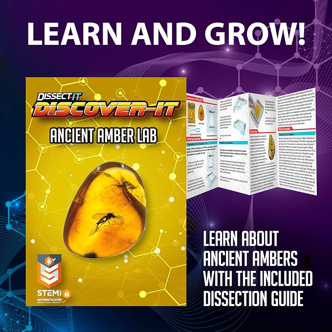 Discover-It Dissection Kit for Kids, Synthetic Amber Science Lab Kit to Learn About Insects, Science Toys for Kids Ages 5 and Above