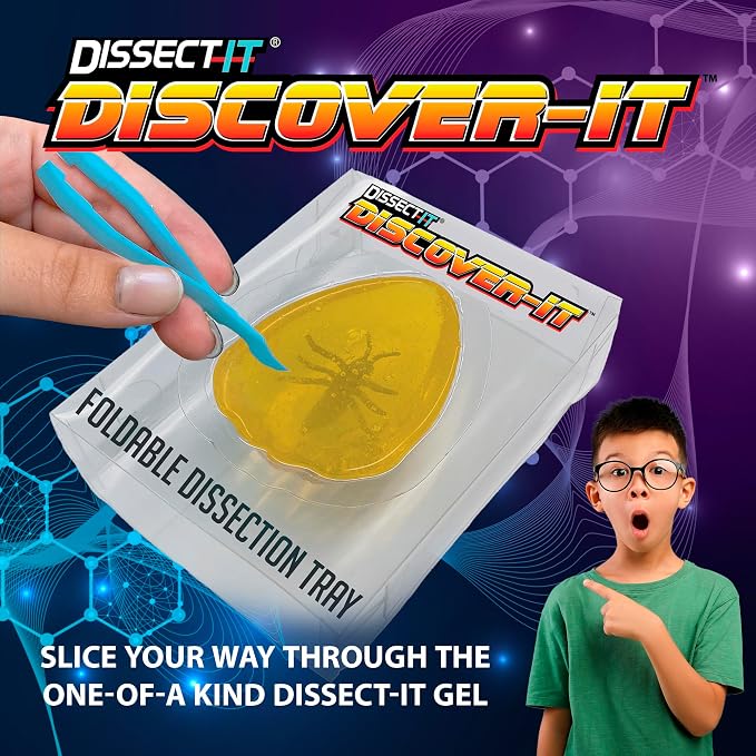 Discover-It Dissection Kit for Kids, Synthetic Amber Science Lab Kit to Learn About Insects, Science Toys for Kids Ages 5 and Above