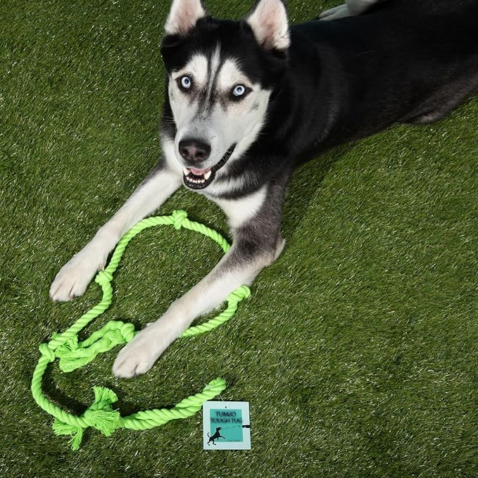 Tumbo Tough Tug Rope Dog Toy - (Green 5 ft Long Strong and Durable Rope Pull Toy with Handle) TUG of WAR Dog Toy