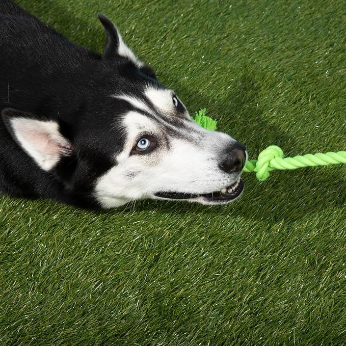 Tumbo Tough Tug Rope Dog Toy - (Green 5 ft Long Strong and Durable Rope Pull Toy with Handle) TUG of WAR Dog Toy