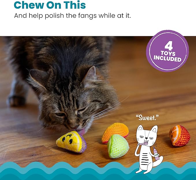 Catstages Dental Fruit Wedges 4 Pk, Soft and Textured Catnip Chew Toys That Help Clean Teeth, Multicolored