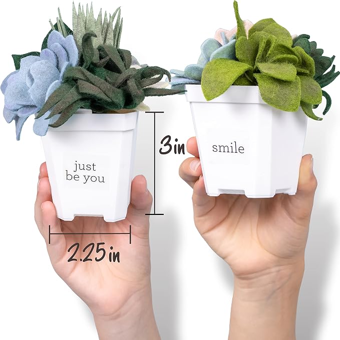 Hapinest DIY Potted Felt Succulents Craft Kit for Adults Women Teens and Seniors, Arts & Crafts for Ages 6 Years and Up