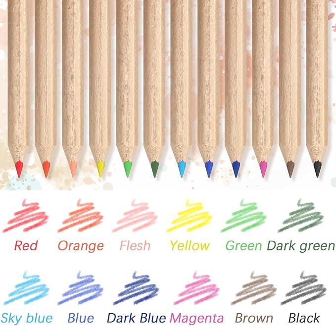 Sinload 48 Set Mini Colored Pencil Bulk for Kid 3.5in Colored Pencils for Coloring Drawing Bulk for Student Teacher 12 Color with Sharpener Eraser Back to School Classroom Party Favors Gifts