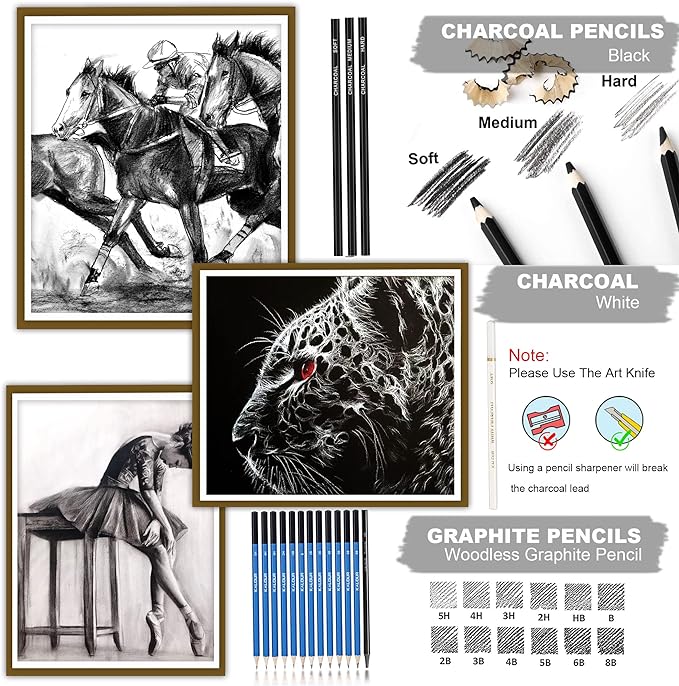 KALOUR 33 Pro Drawing Kit Sketching Pencils Set,Portable Zippered Travel Case-Charcoal Pencils, Sketch Pencils, Charcoal Stick,Sharpener,Eraser.Art Supplies for Artists Beginner Adults Teens