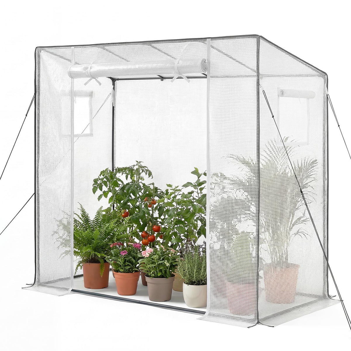 Walk-in Greenhouse, 76.8" x 30.3" x 66.1" Greenhouse for Outdoors with Windows, PE Cover, Roll-Up Zipper Door, Walk in Green House Kit, Portable Plant Garden Hot House for Backyard, Outside
